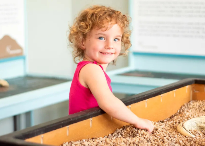 Discovery Space Family Membership – Starts at $115