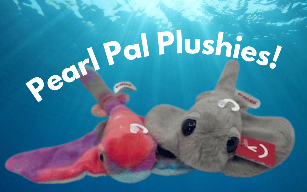 Stingray Plushy – $20