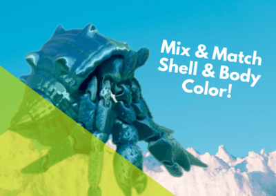 Mix ‘n Match 3D Printed Hermit Crab – $10