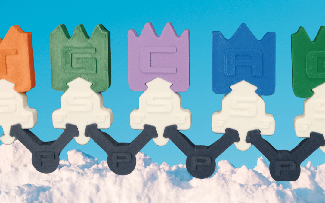 DNA Building Blocks Kit – $5